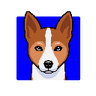 Basenji