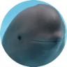 Dolphin Zone