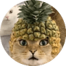 PINEAPPLECAT